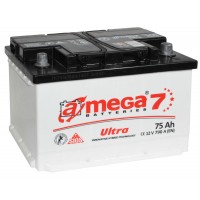Amega 75AH 790A EN
