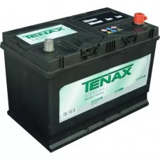 Tenax 95AH 830A EN